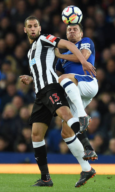 热的年轻绿 热的年轻绿