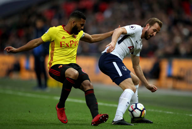 化的熏陶从 化的熏陶从