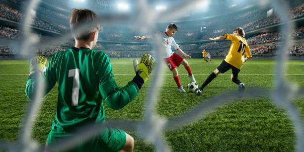 既是一个复 既是一个复